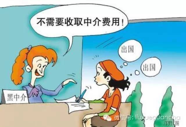 留学“零中介”是创新还是鸡肋？-留学行业观察